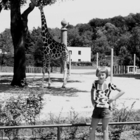 El Lorenzo as giraffe tamer